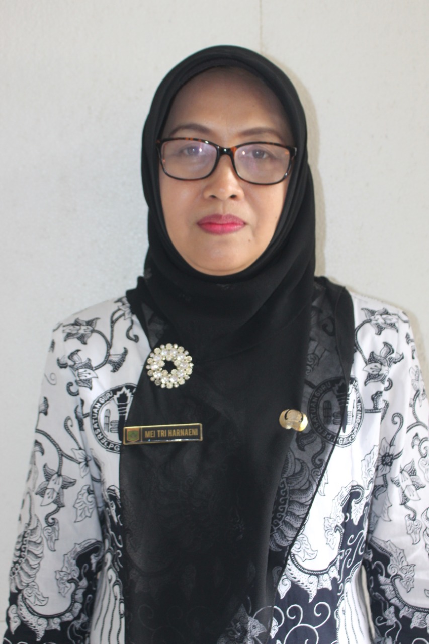 MEI TRI HARNAENI, S.Pd.